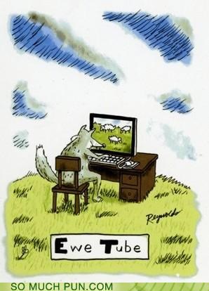 Ewe Tube