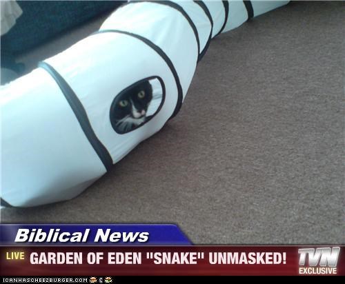 Biblical News - GARDEN OF EDEN "SNAKE" UNMASKED!