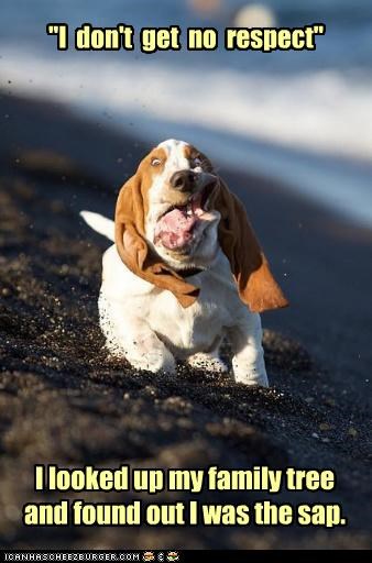 Rodney Doggiefield v2