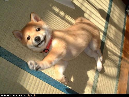 Stretching in the Sun