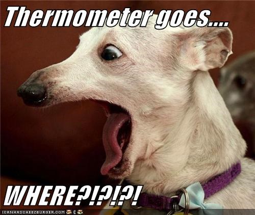 Thermometer goes....  WHERE?!?!?!