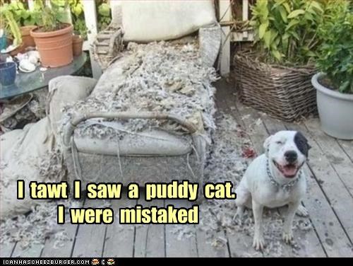 I  tawt  I  saw  a  puddy  cat.   I  were  mistaked