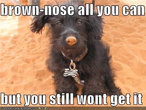 brown-nose all you can  but you still wont get it
