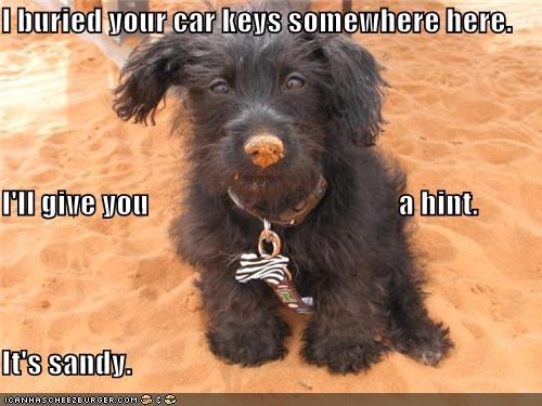 I buried your car keys somewhere here. I'll give you                                          a hint. It's sandy.