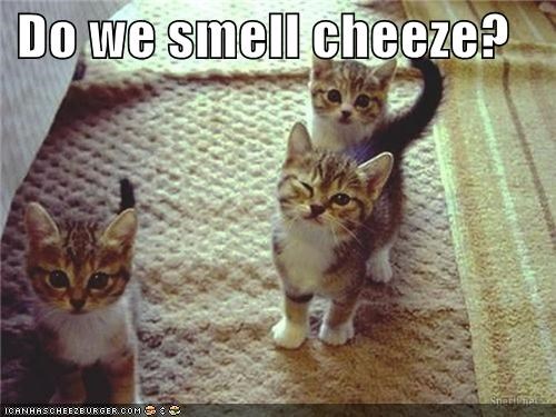 Do we smell cheeze?