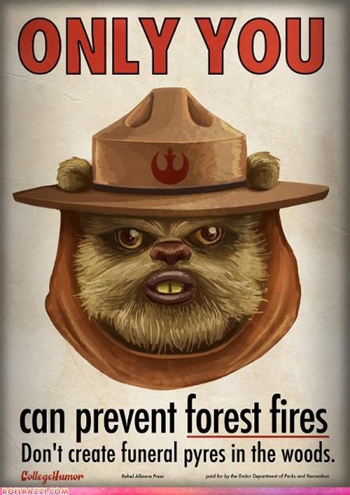 Only You Can Prevent Forest Fires