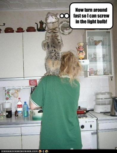 Now turn around fast so I can screw in the light bulb!
