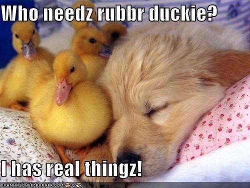 Who needz rubbr duckie?  I has real thingz!