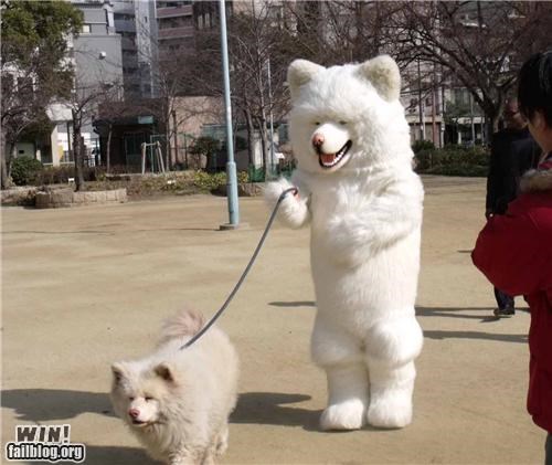 Dog Walker WIN