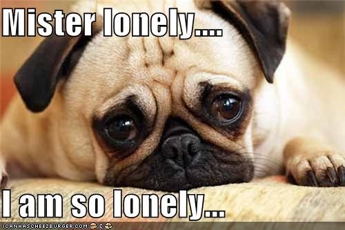 Mister lonely....  I am so lonely...