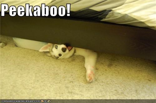Peekaboo!
