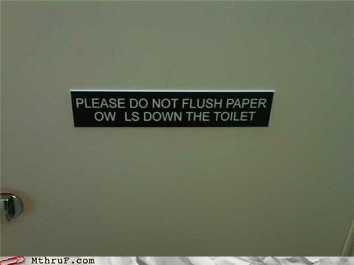I Was Getting A Real Hoot Out Of It!