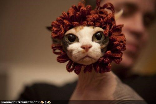 Cyoot Kitteh of teh Day: Nekkid Lyon