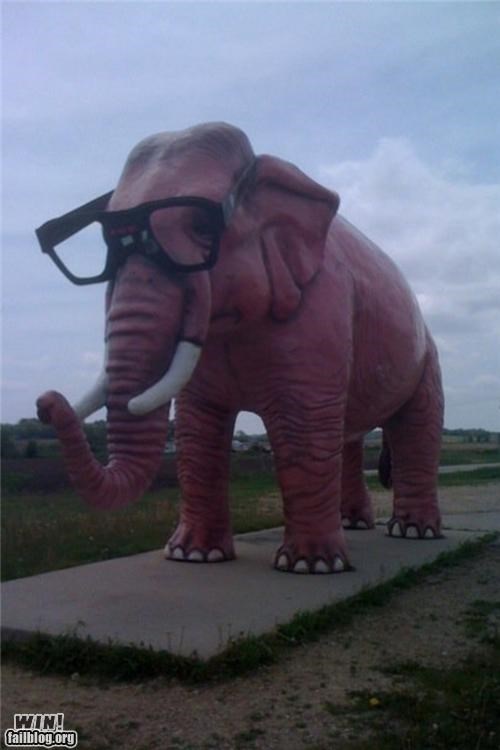 Hacked IRL: Hipster Elephant