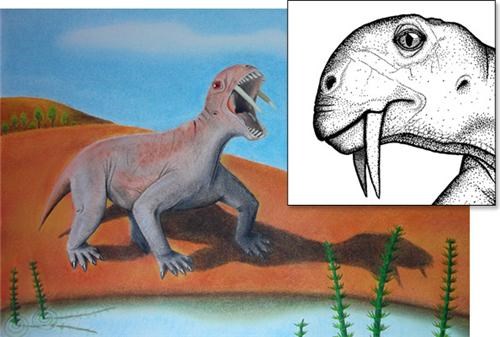 Saber-Toothed Herbivore Of The Day