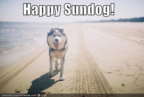 Happy Sundog!