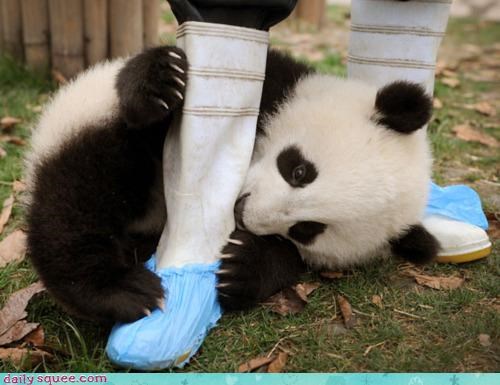 Acting Like Animals: Tastes a Little Rubbery...