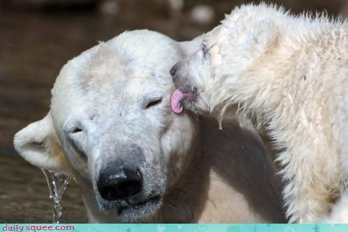 Kissing the Head That Feeds