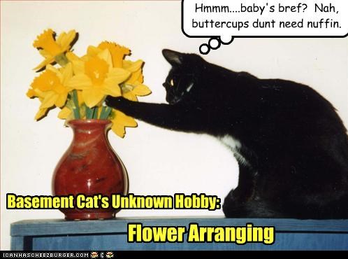 Feline Floral Design