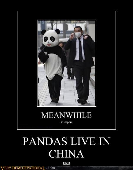 PANDAS LIVE IN CHINA