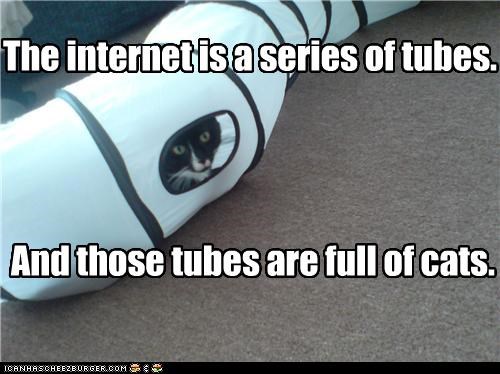 The internet