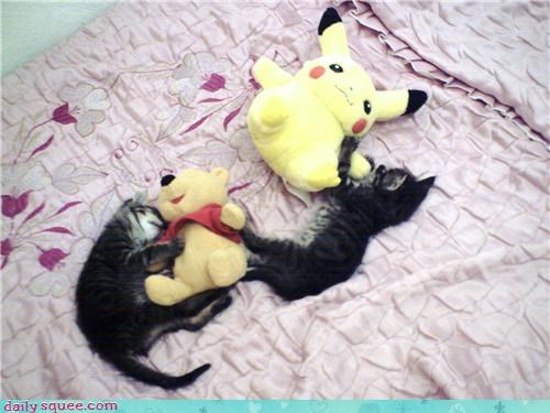 Fluffier than Fluffy Stuffed Animals!