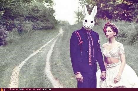 Bunnies Make Good Hubbys