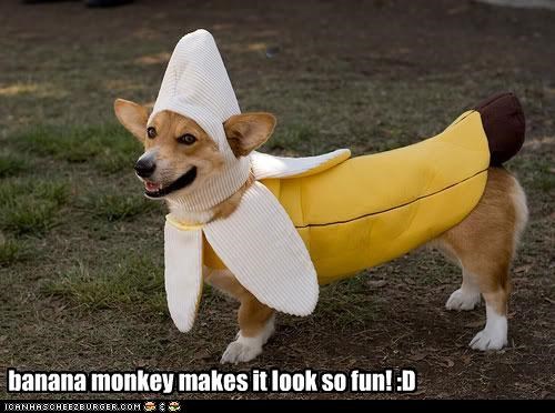 banana monkey makes it look so fun! :D