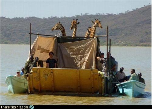 Noah Realized he Needed a Bigger Boat