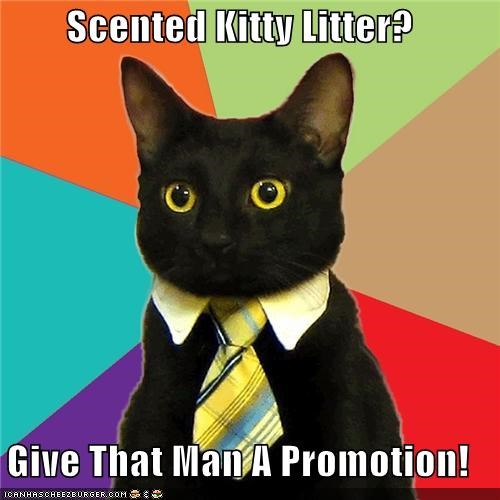 Business Cat: Scented Kitty Litter? 