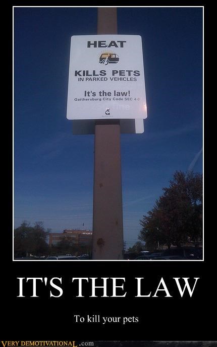 IT'S THE LAW
