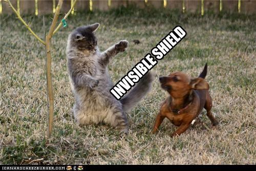 INVISIBLE SHIELD