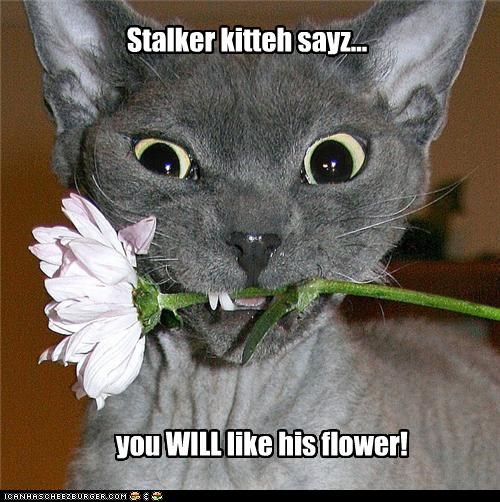 Stalker kitteh sayz...you WILL like his flower!