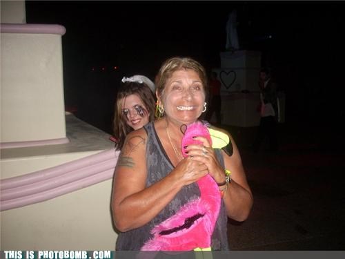 Choking the Flamingo