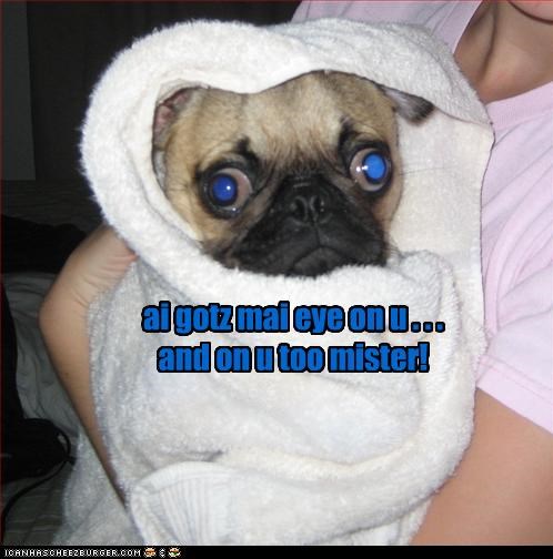ai gotz mai eye on u . . . and on u too mister!