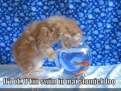 It'z ok. U kin swim in mai stomick too