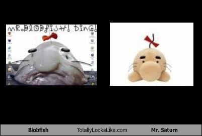 Blobfish Totally Looks Like Mr. Saturn