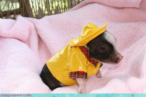 Won't Let a Rainy Day Bring Me Down
