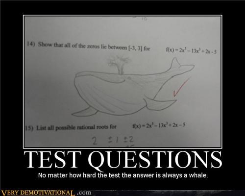 TEST QUESTIONS
