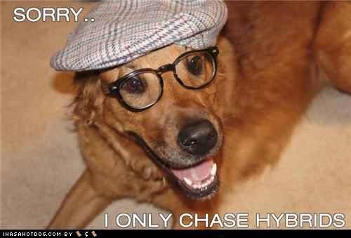 SORRY.. I ONLY CHASE HYBRIDS