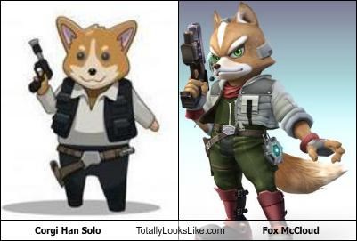 EDIT THIS:Corgi Han Solo Totally Looks Like Fox McCloud