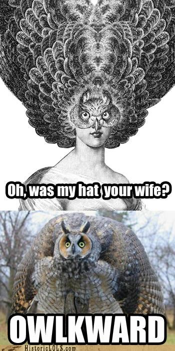 My Bad, Mr. Owl! Fashion First, As They Say...