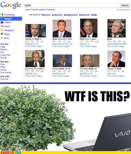One Bush to Rule Them All