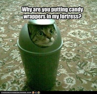 Why are you putting candy wrappers in my fortress?