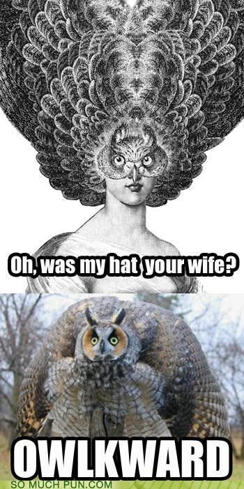 Hoo Would Do Such a Thing?