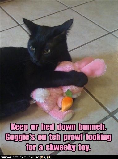 Keep  ur  hed  down  bunneh. Goggie's  on  teh  prowl  looking for  a  skweeky  toy.