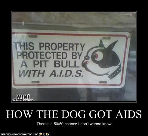 HOW THE DOG GOT AIDS