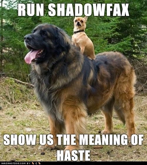 RUN SHADOWFAX