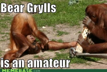 Bear Grylls: The real PRO