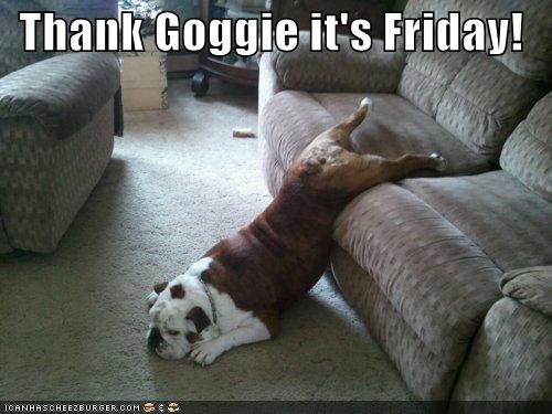 Thank Goggie it's Friday!